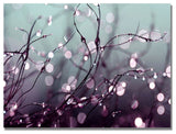 'Somewhere Over the Rainbow' Canvas Art by Beata Czyzowska Young