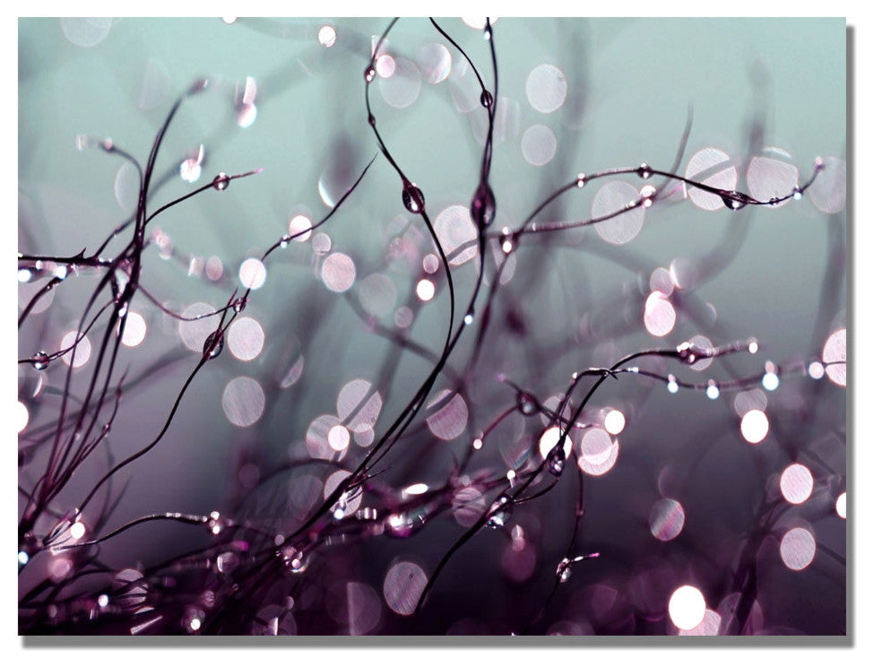 'Somewhere Over the Rainbow' Canvas Art by Beata Czyzowska Young