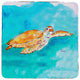 Brown Sea Turtle Coaster - 3 Sets of 4 (12 Total)
