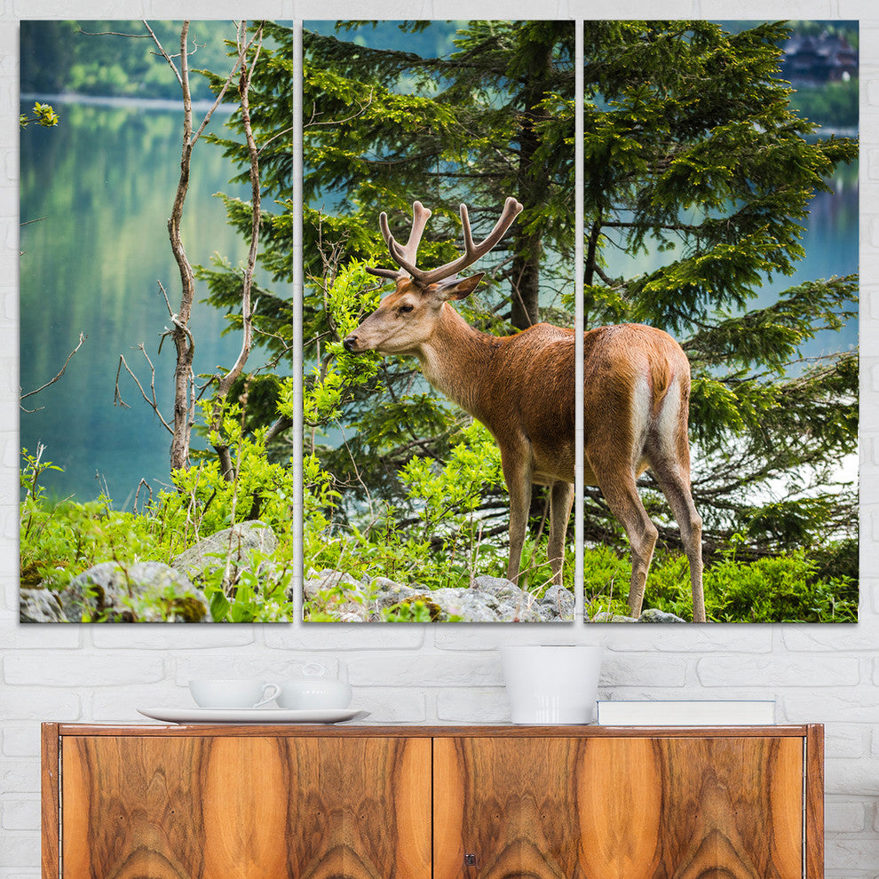 "Deer Stag near the Lake" Canvas Art Print, 3 Panels, 36"x28"