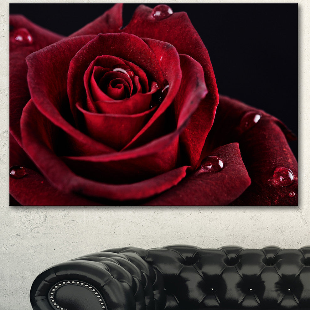 Red Rose with Raindrops on Black, Flowers Canvas Wall Artwork, 40"x30"
