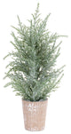 Potted Icy Pine Tree, 4-Piece Set