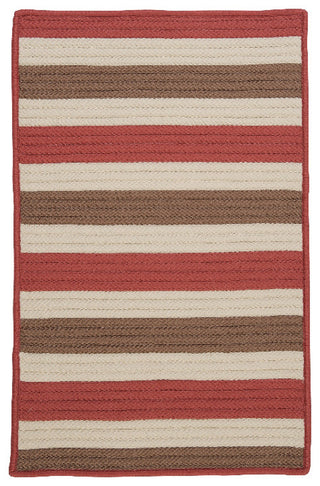 Stripe It TR99 Terracotta Indoor/Outdoor Area Rug, Rectangular 2'x6'