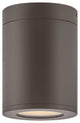 Hinkley Silo Extra Small Flush Mount, Architectural Bronze