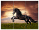 Black Friesian Horse Gallop, Abstract Triptych Canvas Art Print, 36x28, 3 Panels