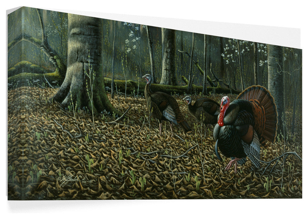 Wilhelm Goebel 'The Suitor Wild Turkeys' Canvas Art, 47"x24"