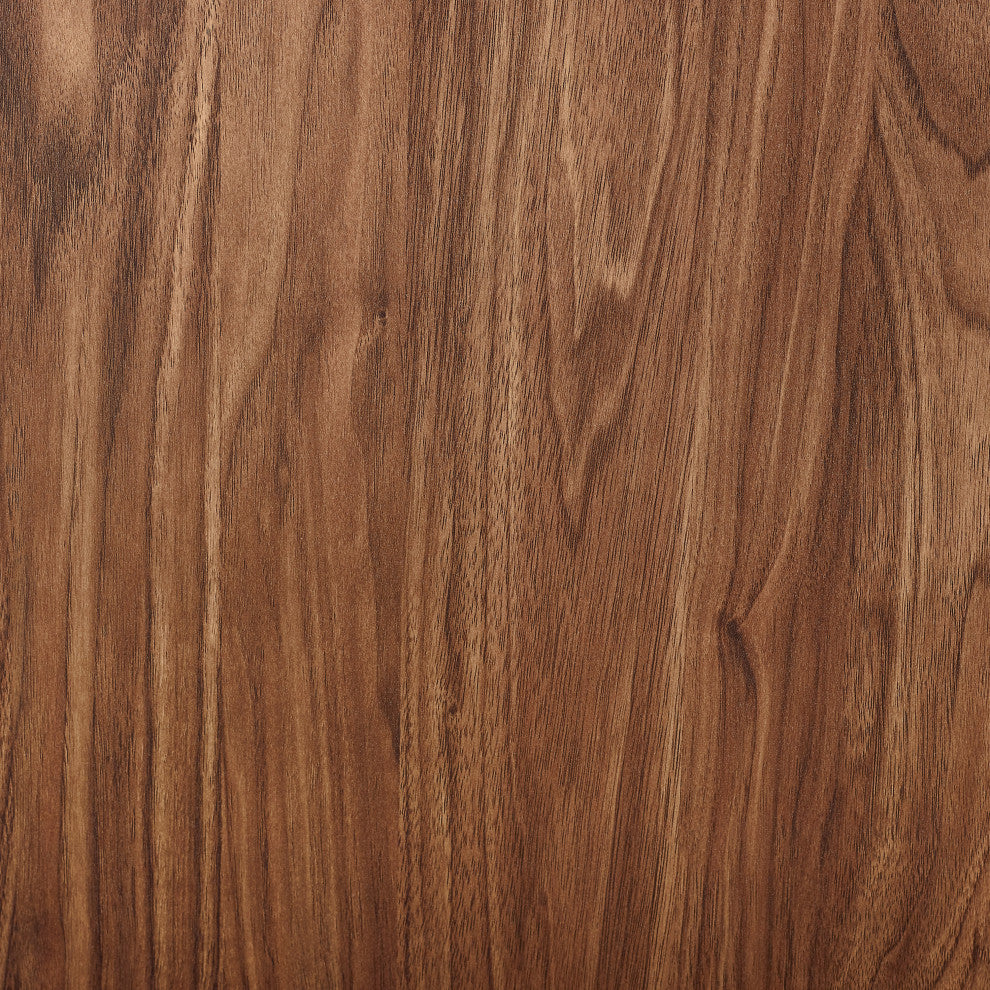 Liam Medium Record Storage Console Cabinet Walnut