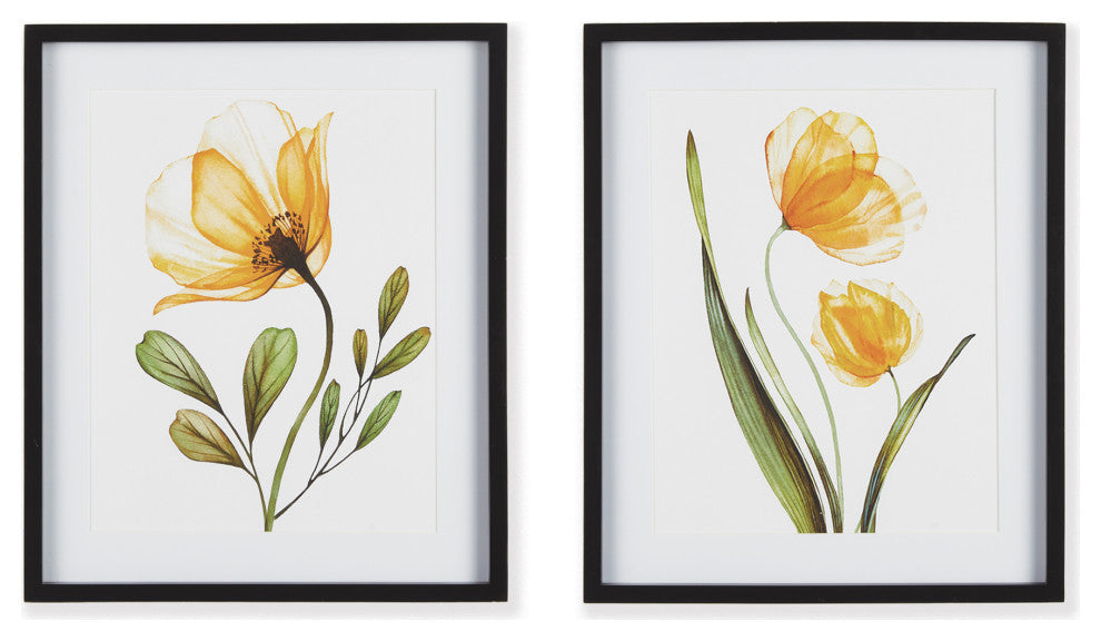 X-Ray Botanical Prints, Set of 2