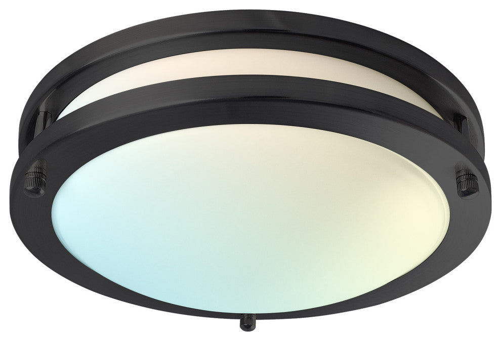 Luxrite 10" LED Flush Mount 5 Color Options 14W 1050lm Matte Black