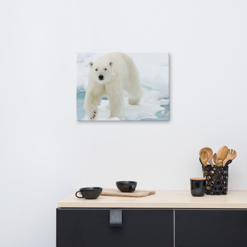 Giant White Polar Bear Walking On Icy Lake Wildlife Photo Canvas Wall Art Print, 18" X 24"