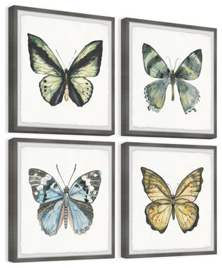 Fly Like a Butterfly Quadriptych, Set of 4, 12x12 Panels