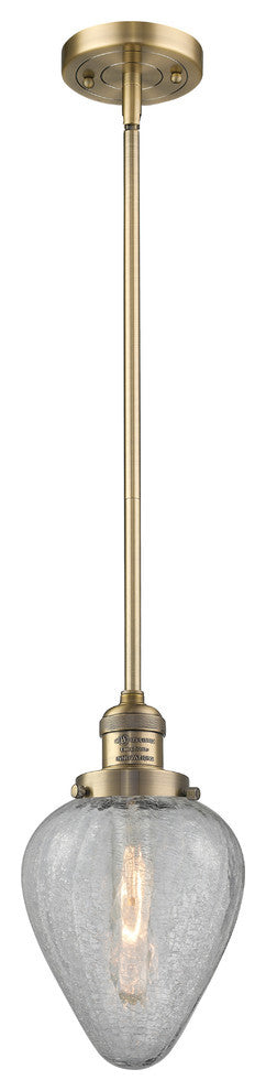 Innovations Lighting 201S-Bb-G165 1 Light Mini Pendant