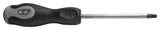 4" Star Screwdriver, T25