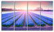"Field of Blooming Hyacinth Flowers" Canvas Print, 4 Panels, 48"x28"