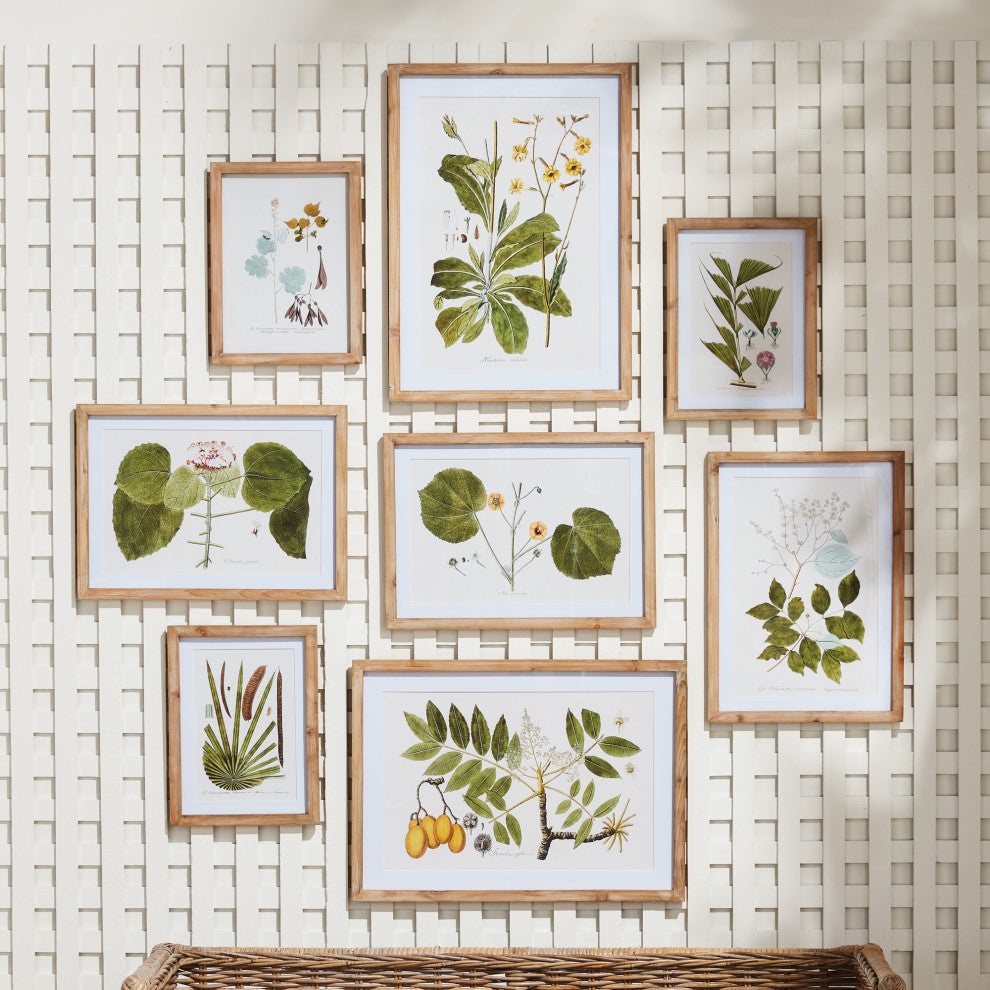 Flora And Fauna Gallery Prints, Set of 8
