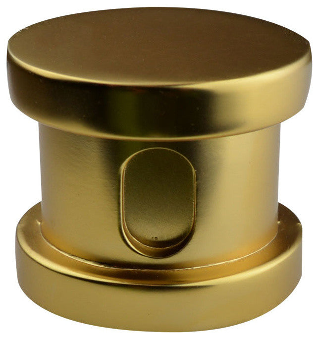 SteamSpa Steamhead with Aromatherapy Reservoir in Polished Gold