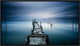 "Timeless" Framed Canvas Giclee by Diaspaulo, 23x13"