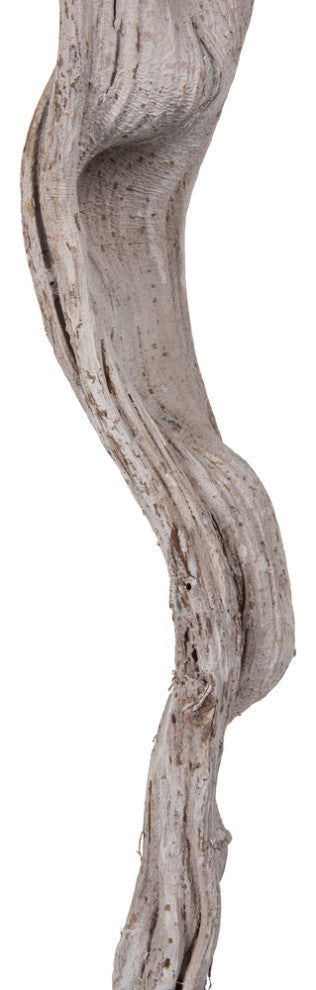 Cipo Escada, Dried , White, 36-40"