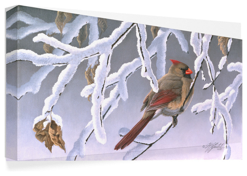 Wilhelm Goebel ''Winter Lady Cardinal'' Canvas Art, 19"x10"