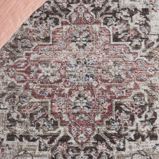Safavieh Antique Patina ANP642 Rug, Beige/Brown, 9'x11'6"