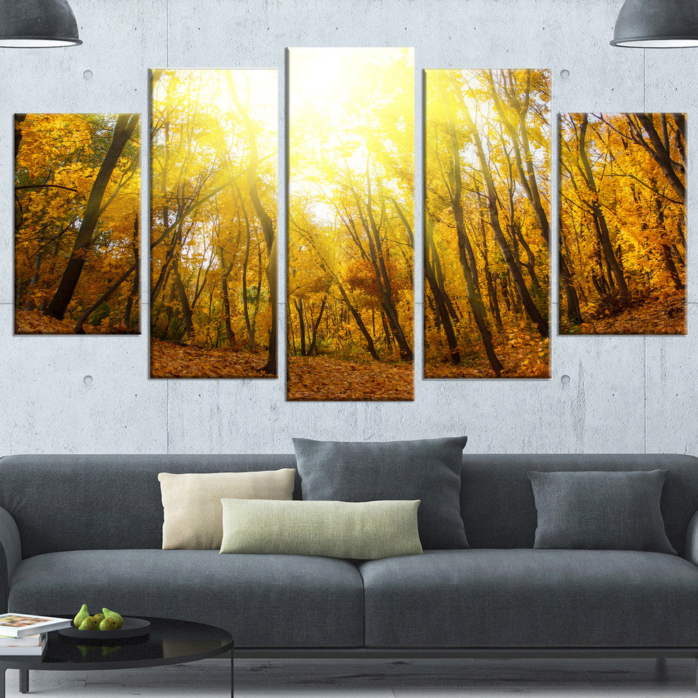 Yellow Autumn Forest in Sunlight, Forest Canvas Art Print, 60"x32", 5 Panels