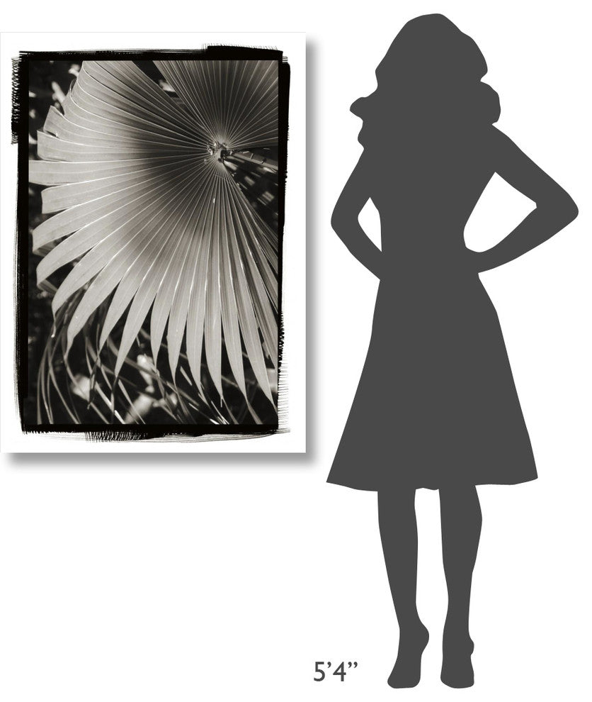 "Palm Frond II" Digital Paper Print by Debra Van Swearingen, 30"x42"