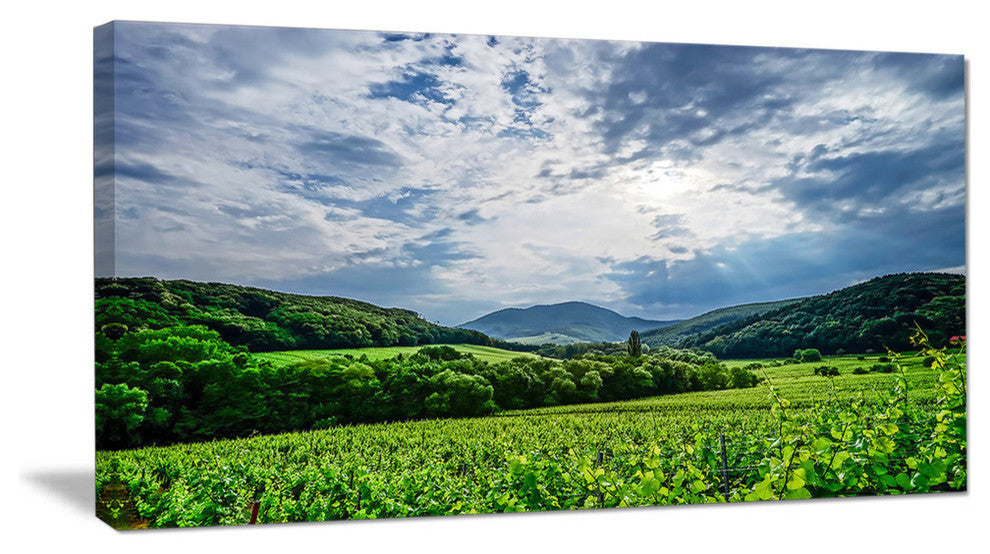 Thunderstorm Weather over Vineyards, Large landscape Canvas Art Print, 60"x28"