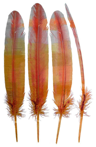 "Four Feathers" Artwork