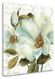 "White Floral Bliss II" By Lisa Audit, Giclee Print on Gallery Wrap Canvas