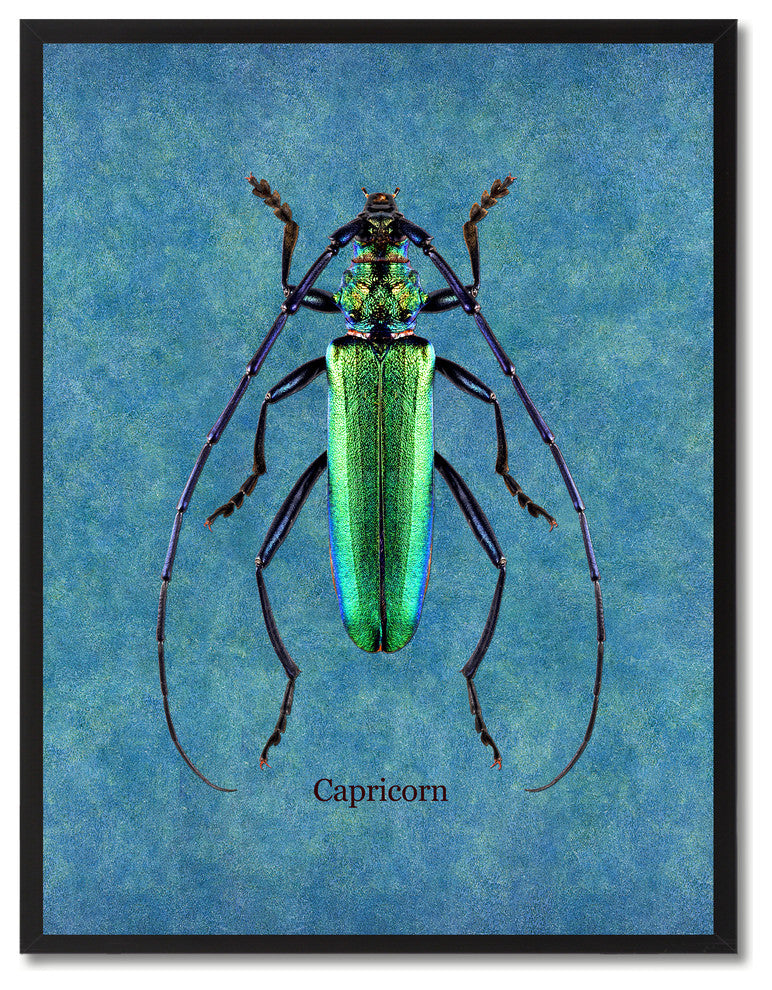 Capricorn Animal Blue Print on Canvas with Picture Frame, 22"x29"