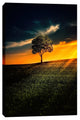 Epic Graffiti "Alone In Peace" Giclee Canvas Wall Art, 12"x18"