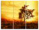 "African Tree Silhouette" Photo Canvas Art Print, 3 Panels, 36"x28"