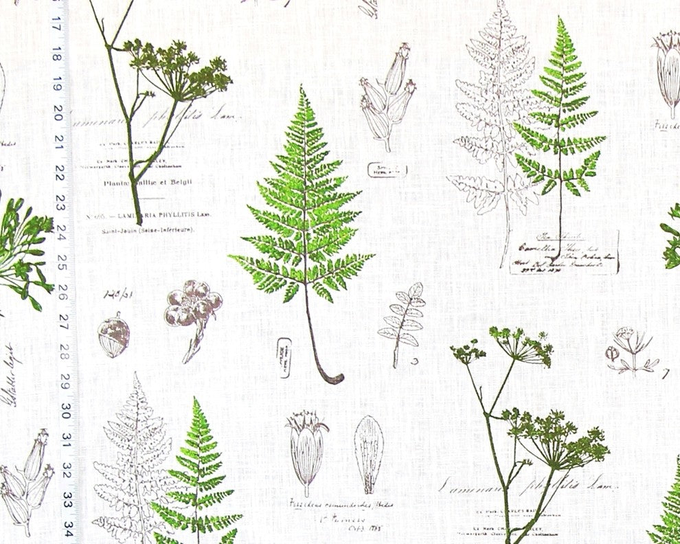 Green Fern Fabric Botanical Nature Toile Meadow Linen, Standard Cut
