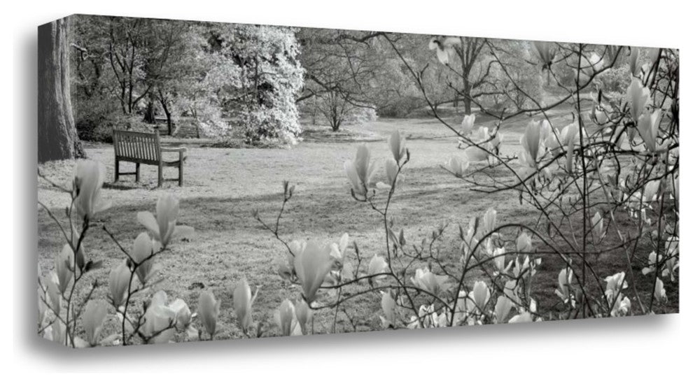 "Hampton Magnolia - 1" By Alan Blaustein, Giclee Print on Gallery Wrap Canvas
