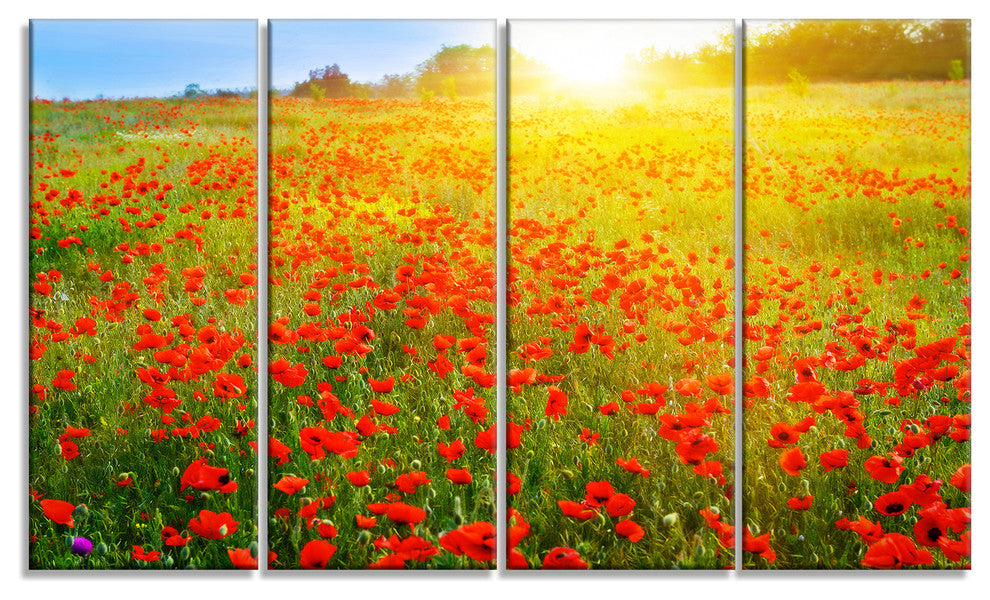 Beautiful Sunshine over Poppy Fields, Floral Canvas Art print, 48"x28", 4 Panels