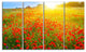 Beautiful Sunshine over Poppy Fields, Floral Canvas Art print, 48"x28", 4 Panels