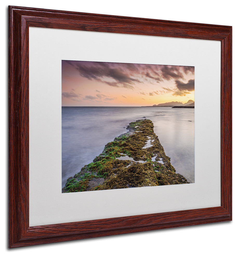 Pierre Leclerc 'Sunset Reef' Matted Framed Art, Wood Frame, White, 20x16