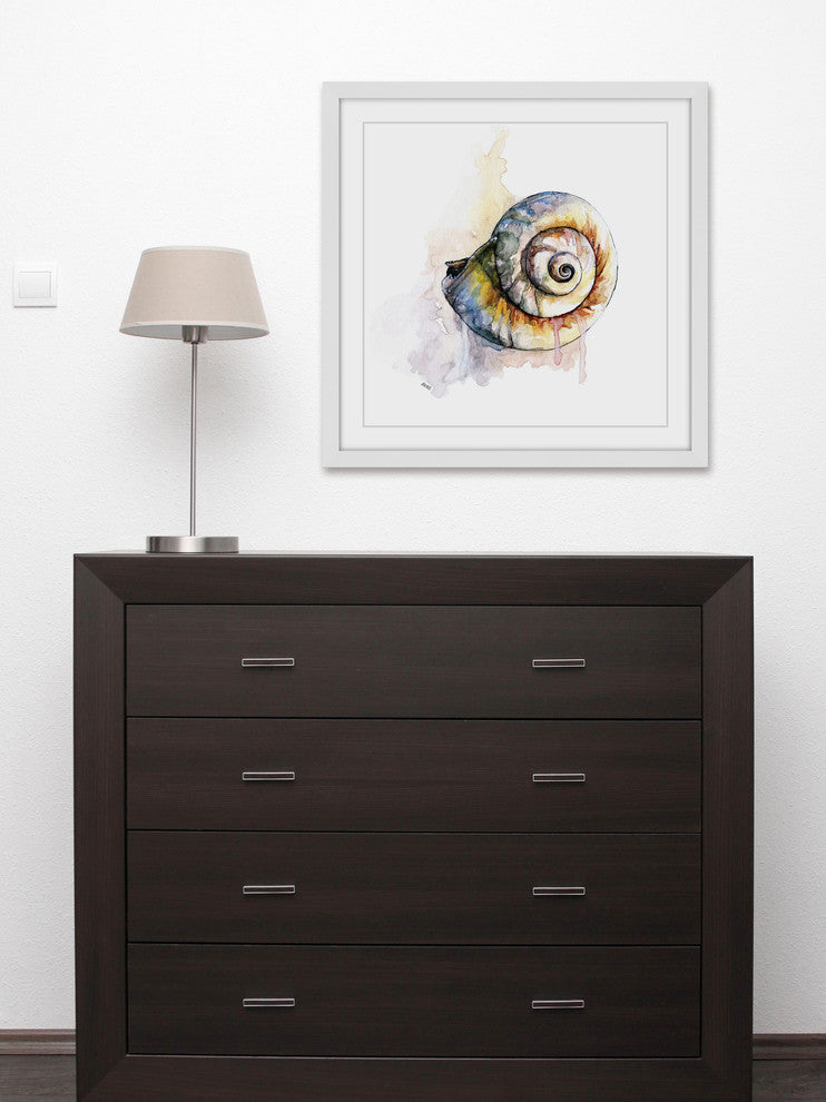 "Snail Shell" Framed Print by Rachel Byler