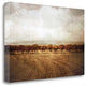 "The Olive Grove" By Heather Jacks, Giclee Print on Gallery Wrap Canvas