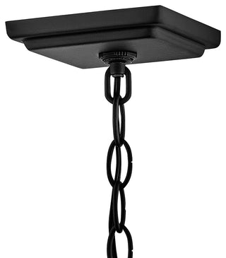 Hinkley Coen Medium Hanging Lantern, Black