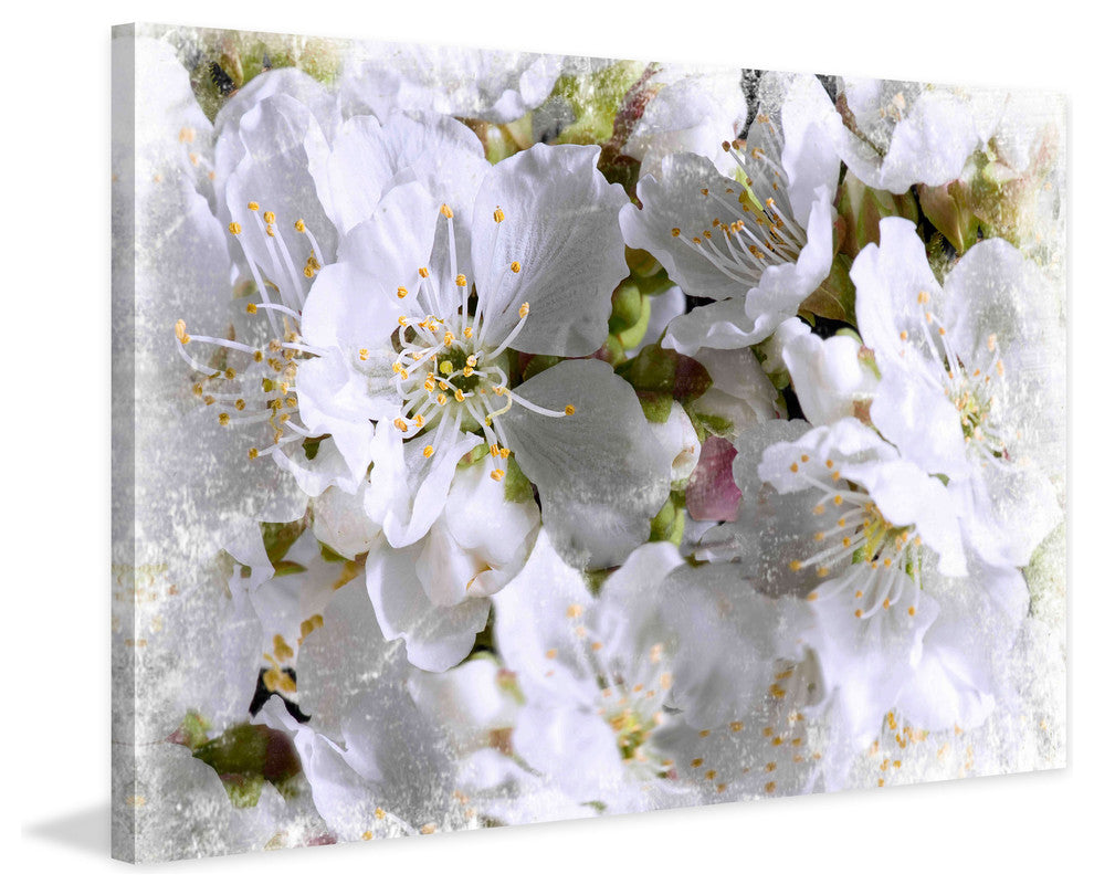 "Apricot Blossoms" Painting Print on Canvas by Aryai