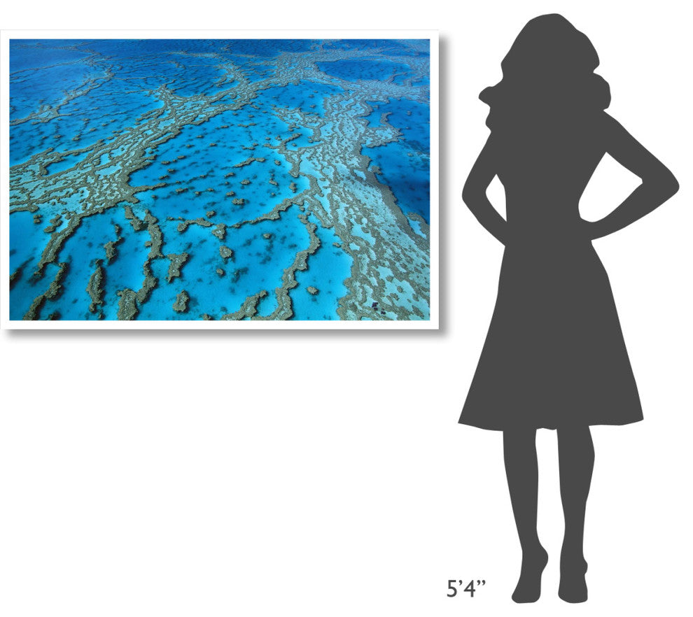 "Coral formation, Hardy Reef, Great Barrier Reef, Queensland" Paper Art, 50"x34"