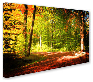 Philippe Sainte-Laudy 'Breaking The Fall Silence' Canvas Art, 47"x30"