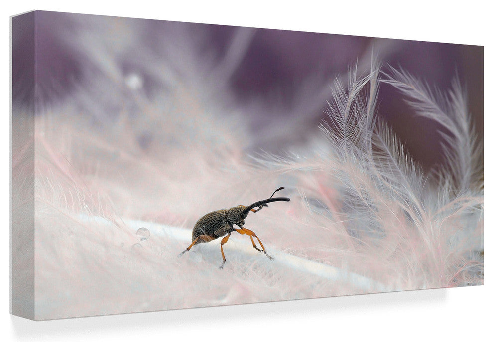 Thierry Dufour 'In The Forest Of Feathers' Canvas Art, 47"x24"