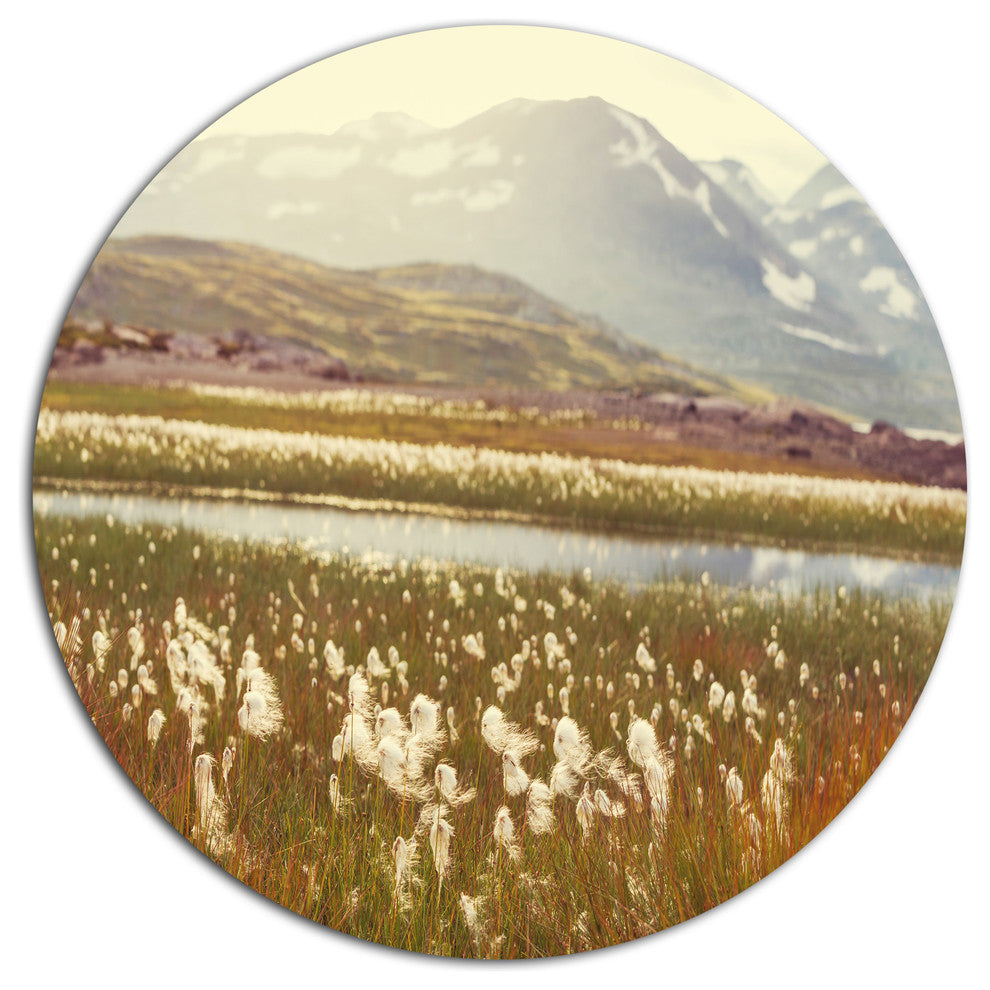 Arctic Cotton Flowers Meadow, Flower Round Wall Art, 11"