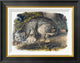 "Canada Lynx" Framed Canvas Giclee by John James Audubon, 22"x18"