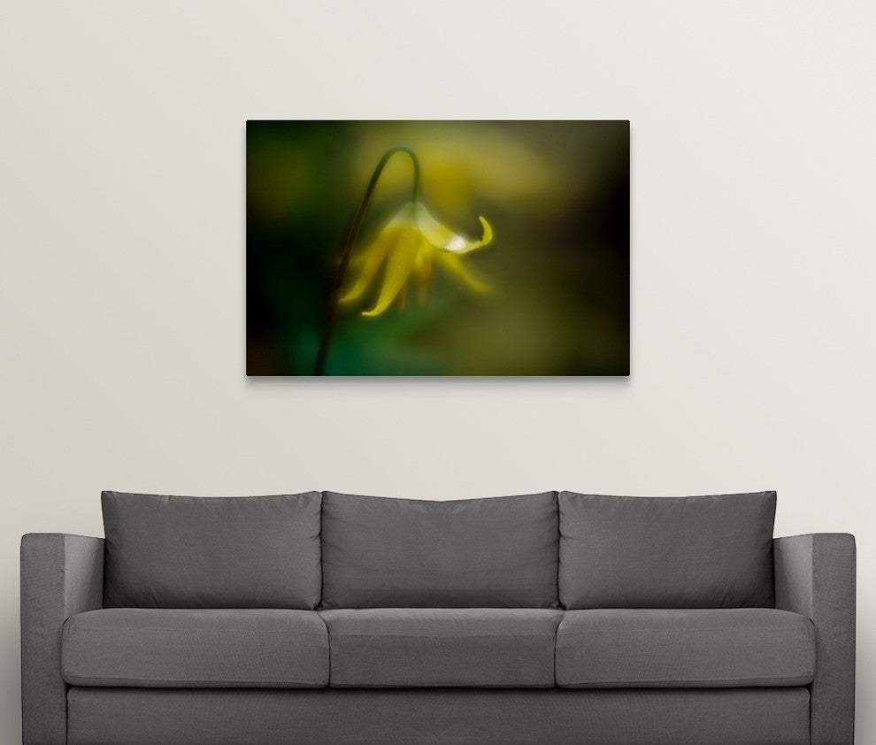 "Raindrop" Wrapped Canvas Art Print, 48"x32"x1.5"