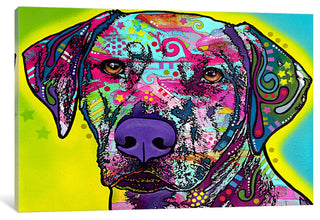 "Rhodesian Ridgeback" Wrapped Canvas Art Print, 26x18x1.5