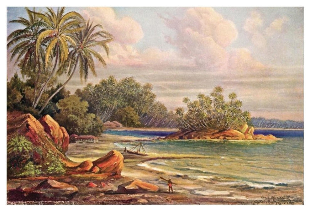 "Cocos-Insel bei Belligemma (Gan-Duva) Ceylon" Print by Ernst Haeckel, 20"x14"