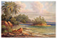 "Cocos-Insel bei Belligemma (Gan-Duva) Ceylon" Print by Ernst Haeckel, 20"x14"